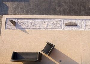 jardineros-zaragoza-terrario-japones-4