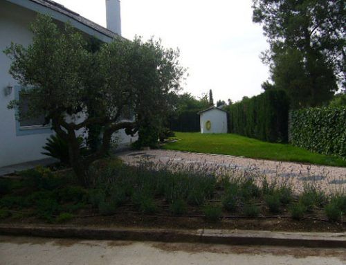 Jardin Mediterraneo