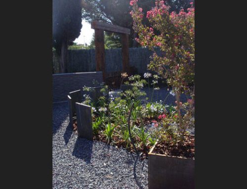 El Jardin de las Puertas