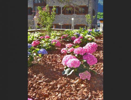 Jardin Pirenaico