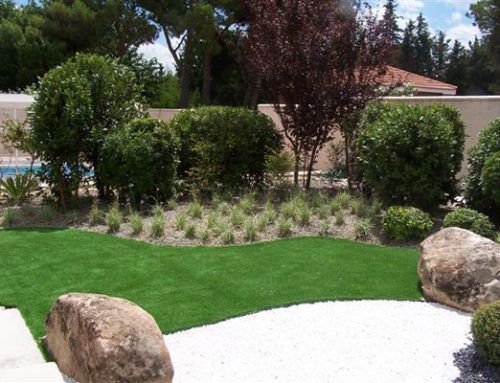 Jardin Exoterico
