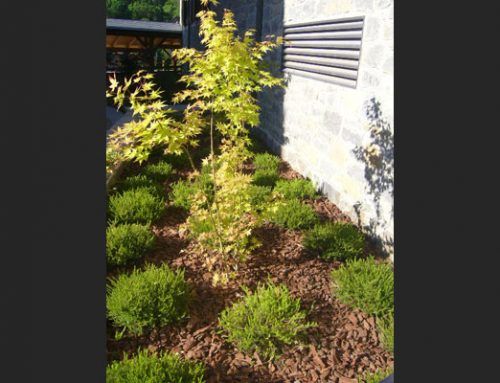 Jardin Pirenaico
