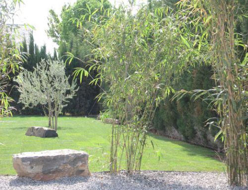Un Jardin en Muel