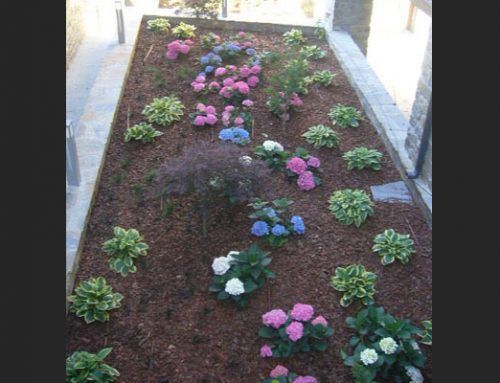 Jardin Pirenaico