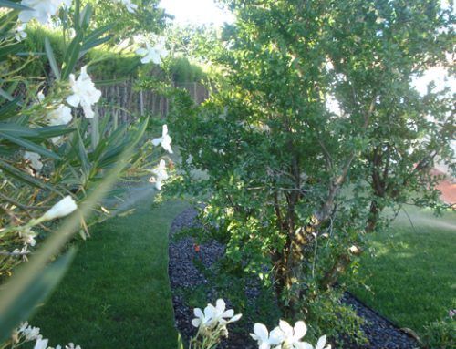 Un Jardin en Muel