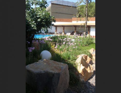 Jardin de Lolo