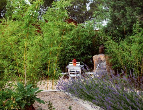 Jardin del Viento